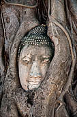 Ayutthaya, Thailand. Wat Mahathat, ancient Buddha head embraced by the roots of a bhodi tree near the entrance at the east of the main prang. 